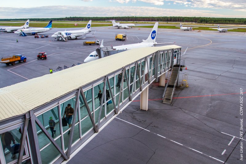 Кольцово телетрап