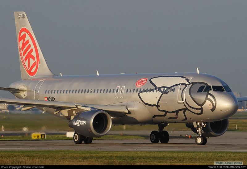 Красивая ливрея Airbus a319