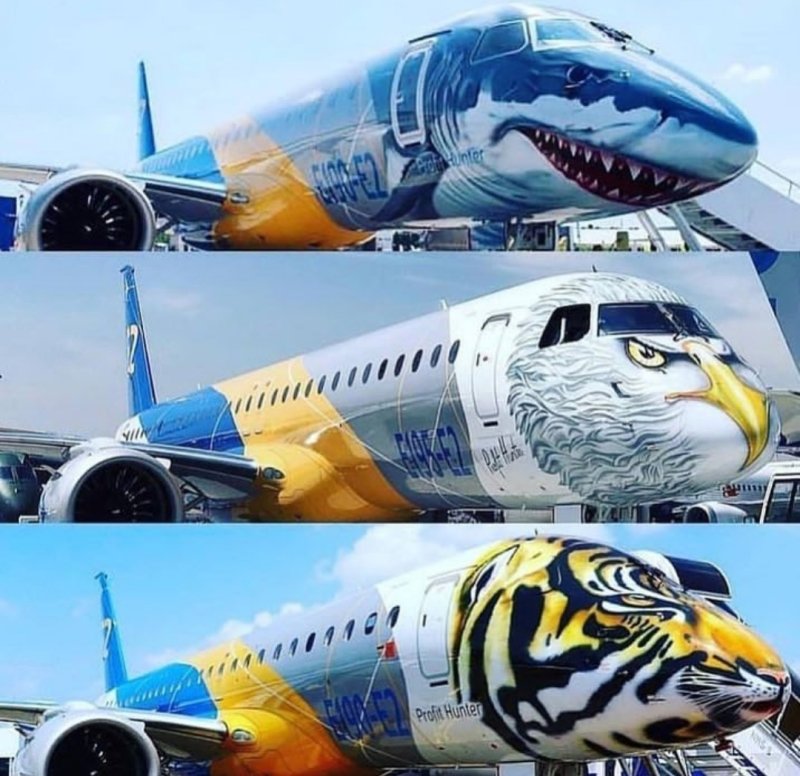 Необычные ливреи самолетов