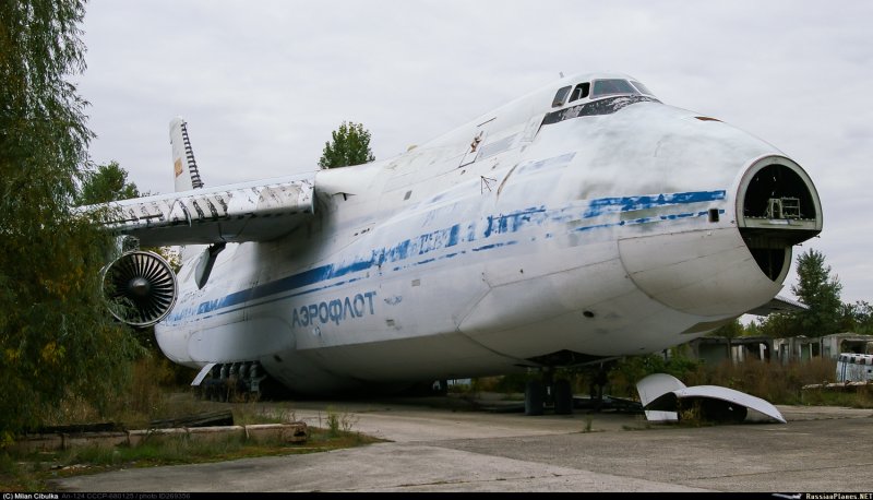 Арз АН 124