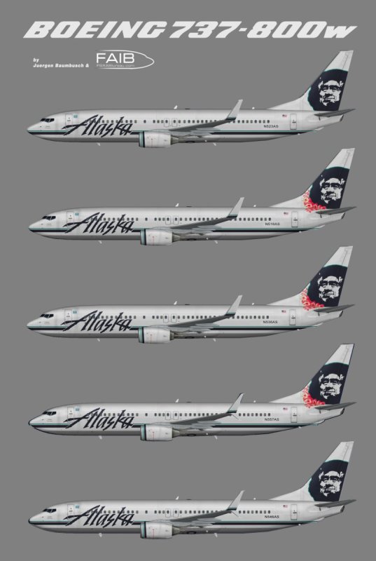 Боинг 737-800 и 737
