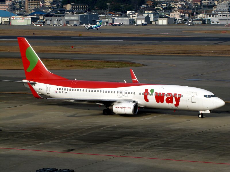 Боинг 737-800 Вингл