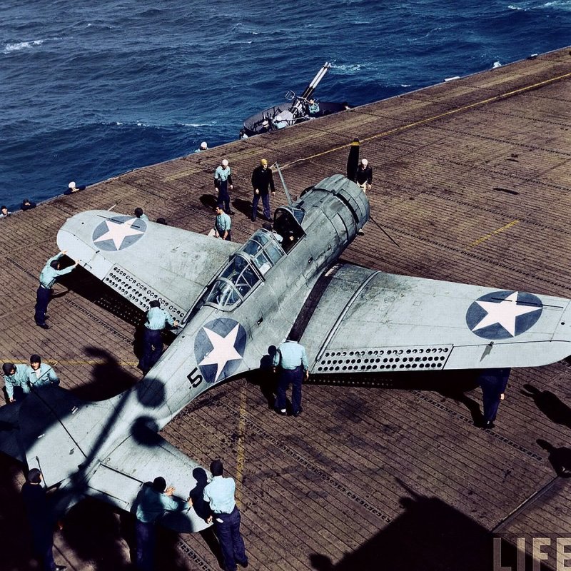Douglas SBD Dauntless