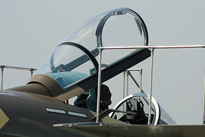 Фонарь Су-35с, ОЛС