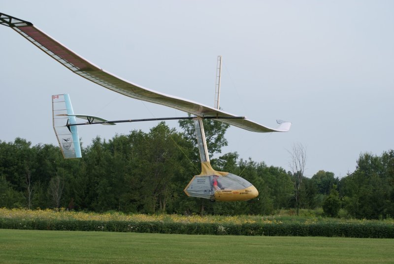 Snowbird орнитоптер
