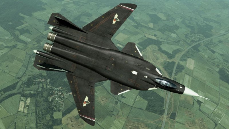 Самолет с обратной стреловидностью крыла Су-47