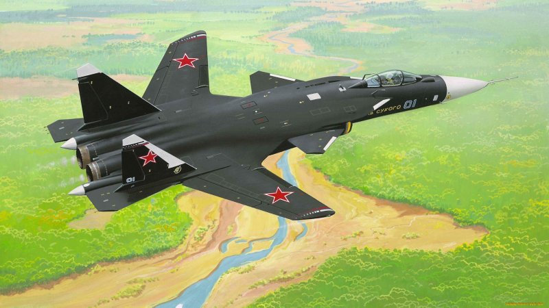 Самолет с обратной стреловидностью крыла Су-47