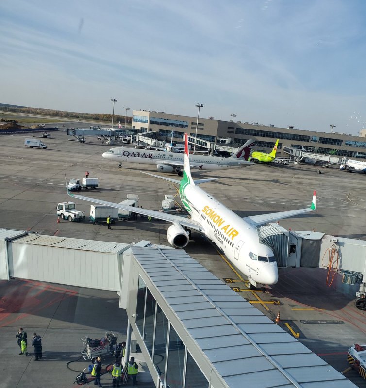 Аэропорт Домодедово Somon Air Таджикистан
