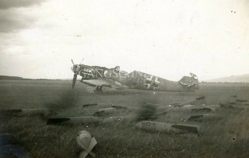 Bf 109 нашли в лесу