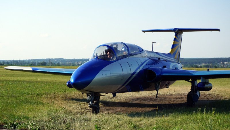 Л29 Васильев
